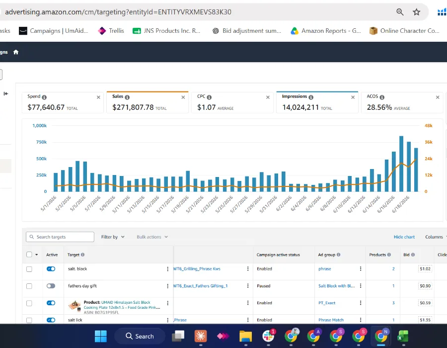 Amazon PPC ads optimization portfolio work