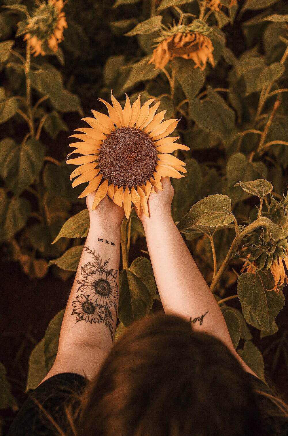 Flowers5